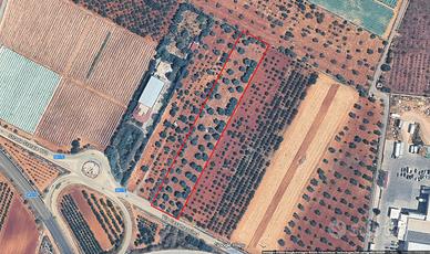 Terreno agricolo