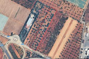 Terreno agricolo