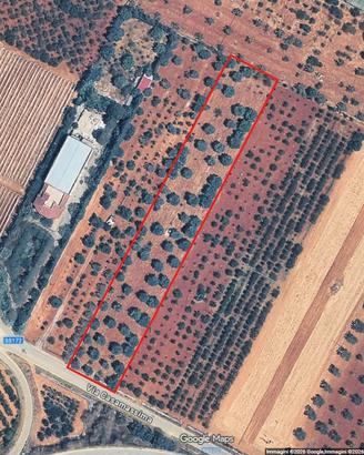 Terreno agricolo