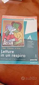 Letture in un respiro. Vol. A.  9788839525260