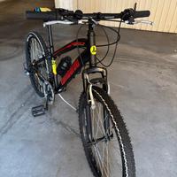 bicicletta 24 lombardo
