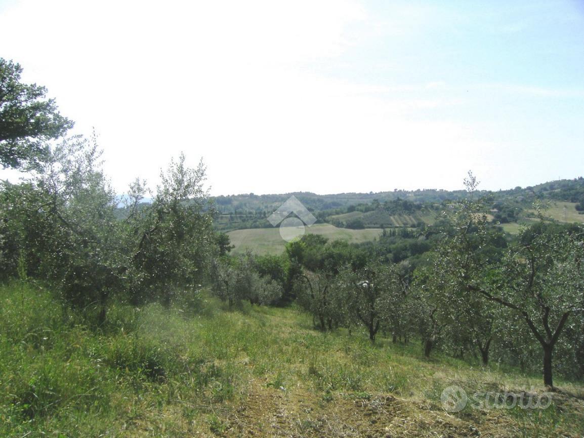 TER. AGRICOLO A POGGIO CATINO - Vista 3
