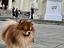 Immagine 4