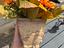 Immagine 3