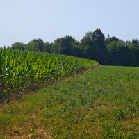 Terreno agricolo ad uso commerciale
