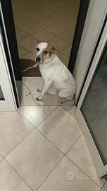 Rudy