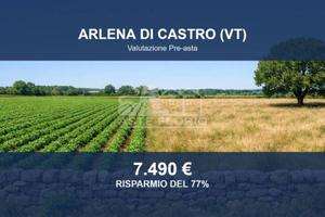 Immobile in asta di 47460 m² a Arlena di Castro