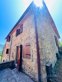 Rustico / Casale di 550 m² con più di 5 locali a B