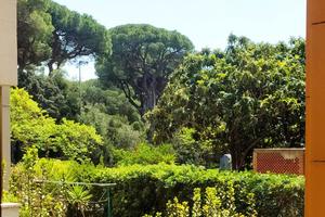 Castiglione della pescaia