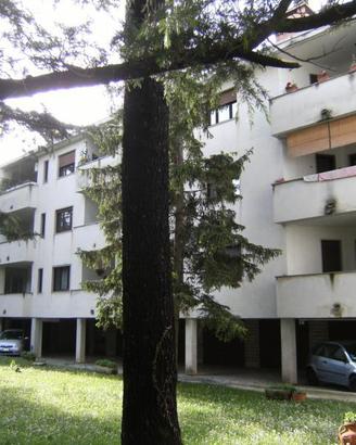 Rif.24280| appartamento trilocale