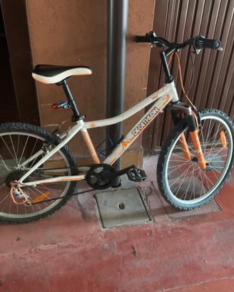 Bicicletta