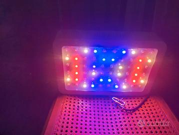 Lampada per coltivazione canapa