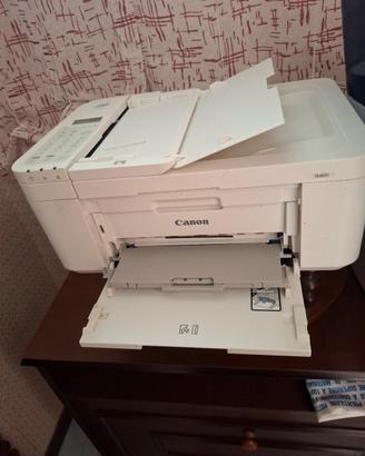 stampante TR4651  CANON