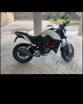 benelli bn 251