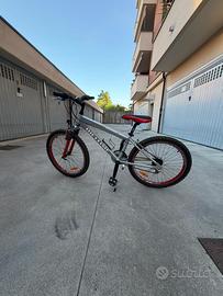 Mountain Bike misura 24