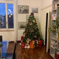 Albero di natale 210cm
