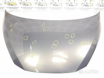 COFANO ANT. RENAULT AVANTIME (2002)