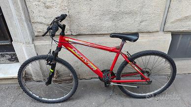 Bici MTB da revisionare