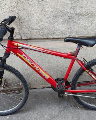 Bici MTB da revisionare