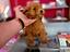Immagine 10