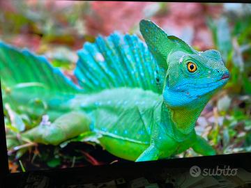 Hisense 75 pollici QLED 4k