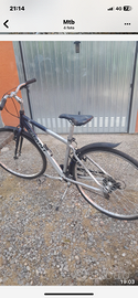 Mtb giant