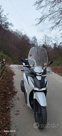 - Honda Sh 125i Sport 
- colore :   bianco perla 
