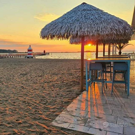 Bicamere in Darsena libero a luglio e settembre