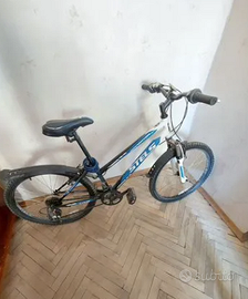 bicicletta