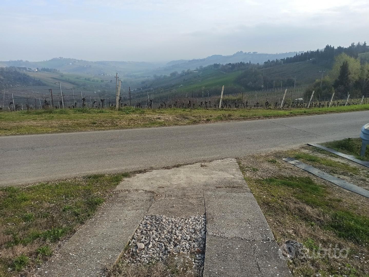 terreno agricolo a vigneto e terreno nudo - Vista 5