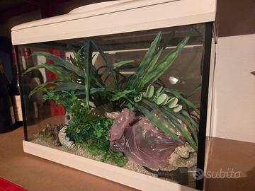acquario