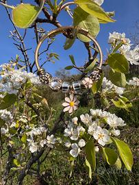 Bracciale fiore bianco tipo Pandora