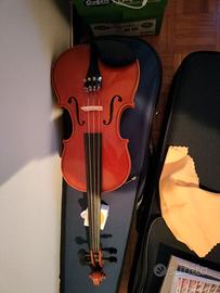 Violino