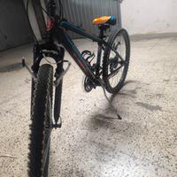 bici bimbo misura 24