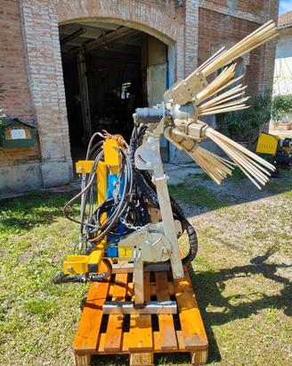 Andanatore usato Arrizza Twist