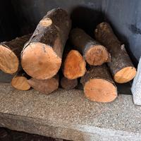 Legna da ardere super stagionata