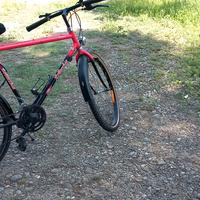 bici bottecchia 26