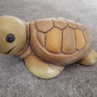 Tartaruga media Thun 