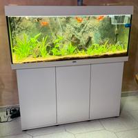 Acquario juwel rio 240