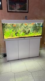 Acquario juwel rio 240
