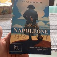 Mister napoleone