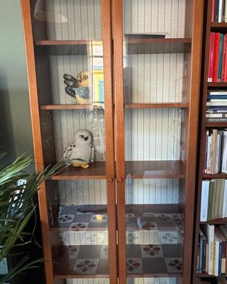 vetrina/libreria ikea