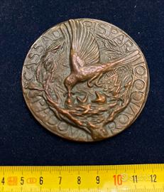 MEDAGLIA CASSA RISPARMIO PADOVA ROVIGO op.Mercanti