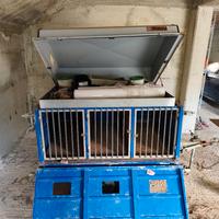 carrello per cani 