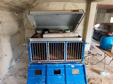 carrello per cani 