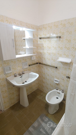 Via Maffeo Pantaleoni stanza doppia