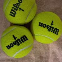 palle da tennis wilson 