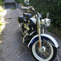 Harley Davidson Softail