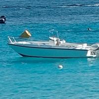Open Conero 5,60 delfino coral