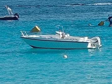 Open Conero 5,60 delfino coral